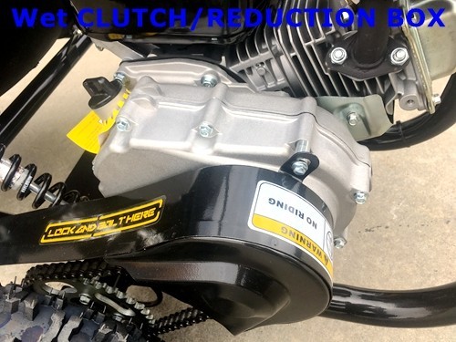 200cc 6.5HP Go Kart Wet Clutch Dune Buggy ATV Quad 4 Stroke Top Roll Cage