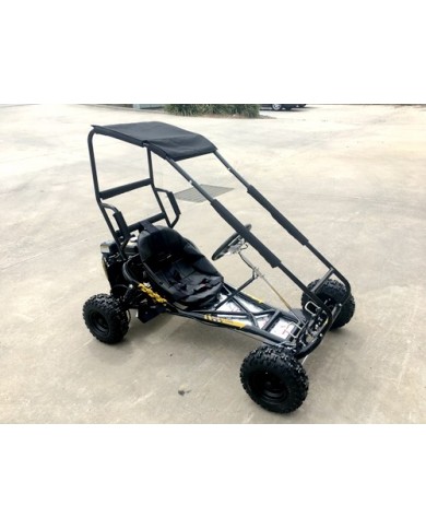 200cc 6.5HP Go Kart Wet Clutch Dune Buggy ATV Quad 4 Stroke Top Roll Cage