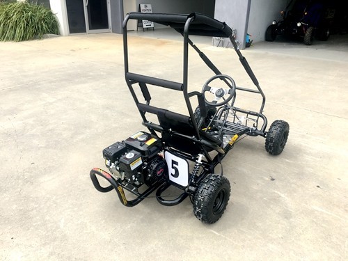 200cc 6.5HP Go Kart Wet Clutch Dune Buggy ATV Quad 4 Stroke Top Roll Cage