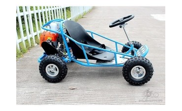 Everything You Need to Know About Kids Go Karts, Fun, Safety, and Benefits  